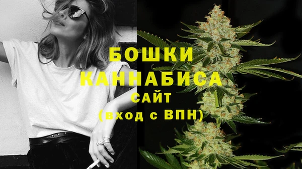 ECSTASY Медногорск