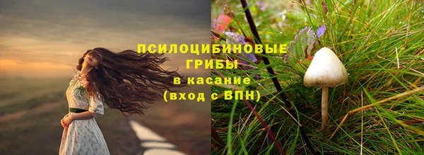 таблы Мегион