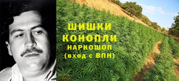 ECSTASY Медногорск