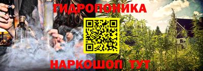 гашик Кимры