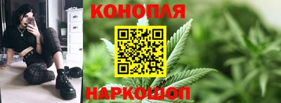 гашик Кимры