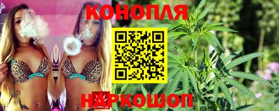 гашик Кимры