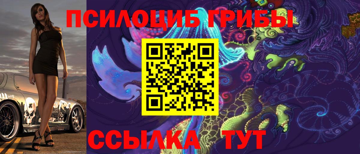 Галлюциногенные грибы MAGIC MUSHROOMS  Вход с VPN  Реж 
